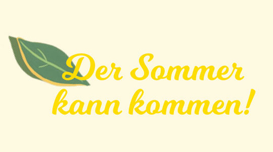 Gutschein für eine neue Sonnenbrille!